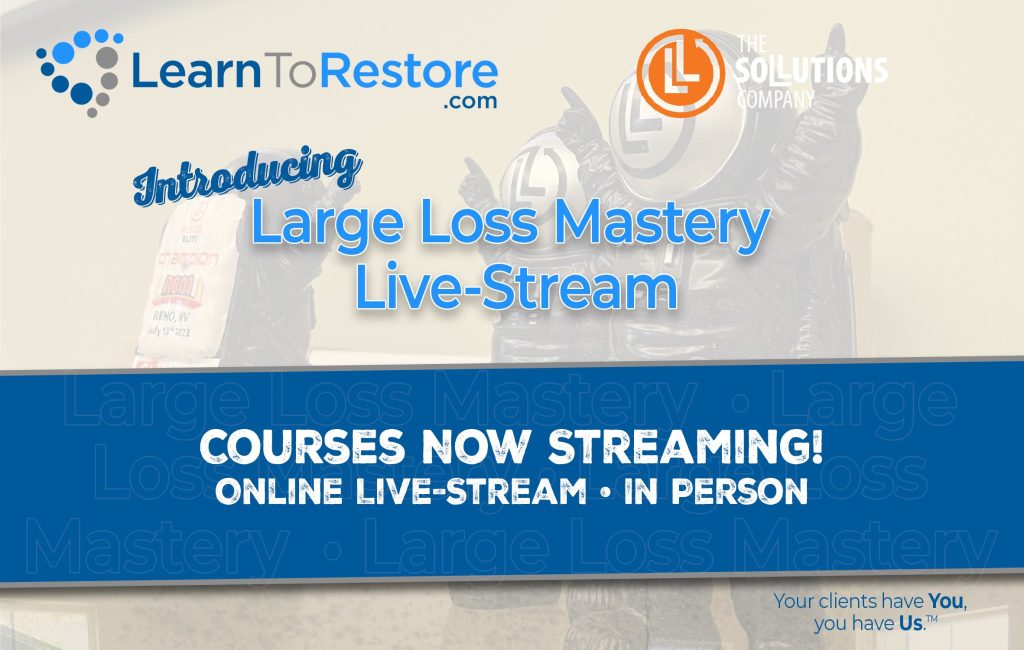 Large Loss Mastery Online Classes